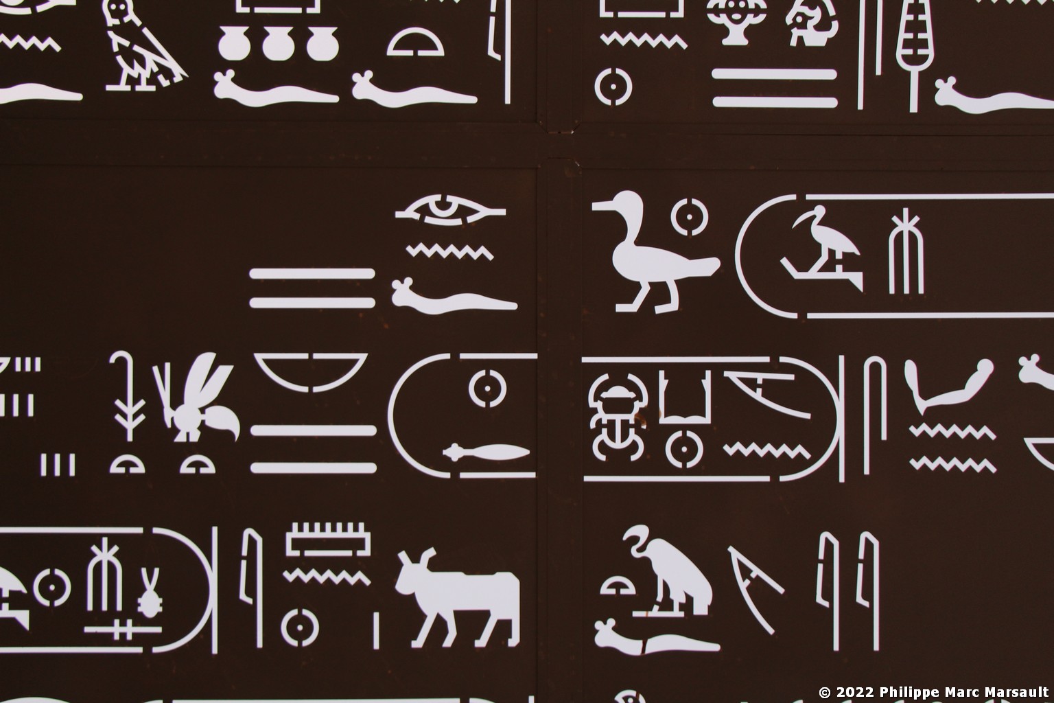 /ecran/Egypte-2021_0918.jpg