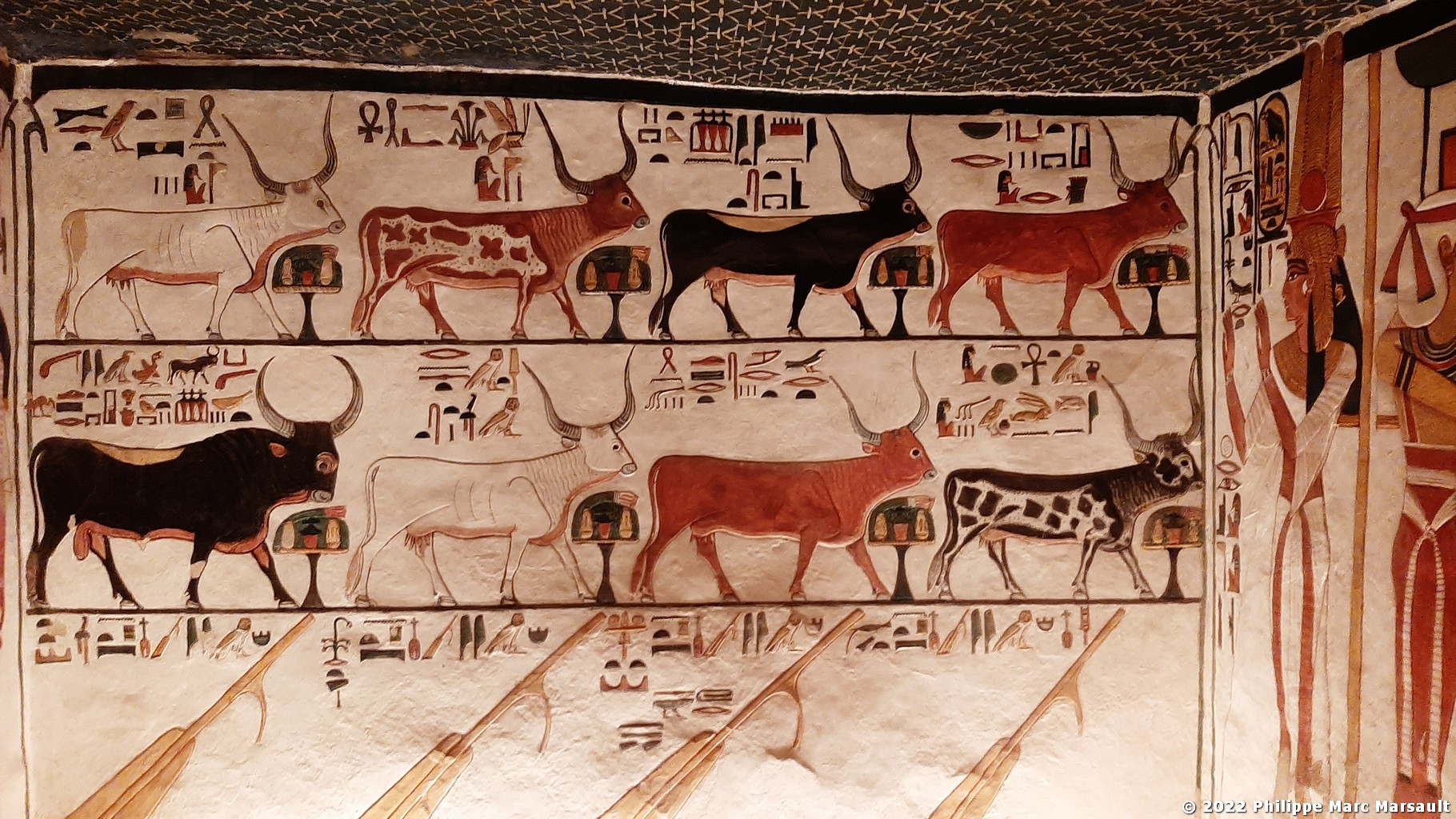 /ecran/Egypte-2021_1053.jpg