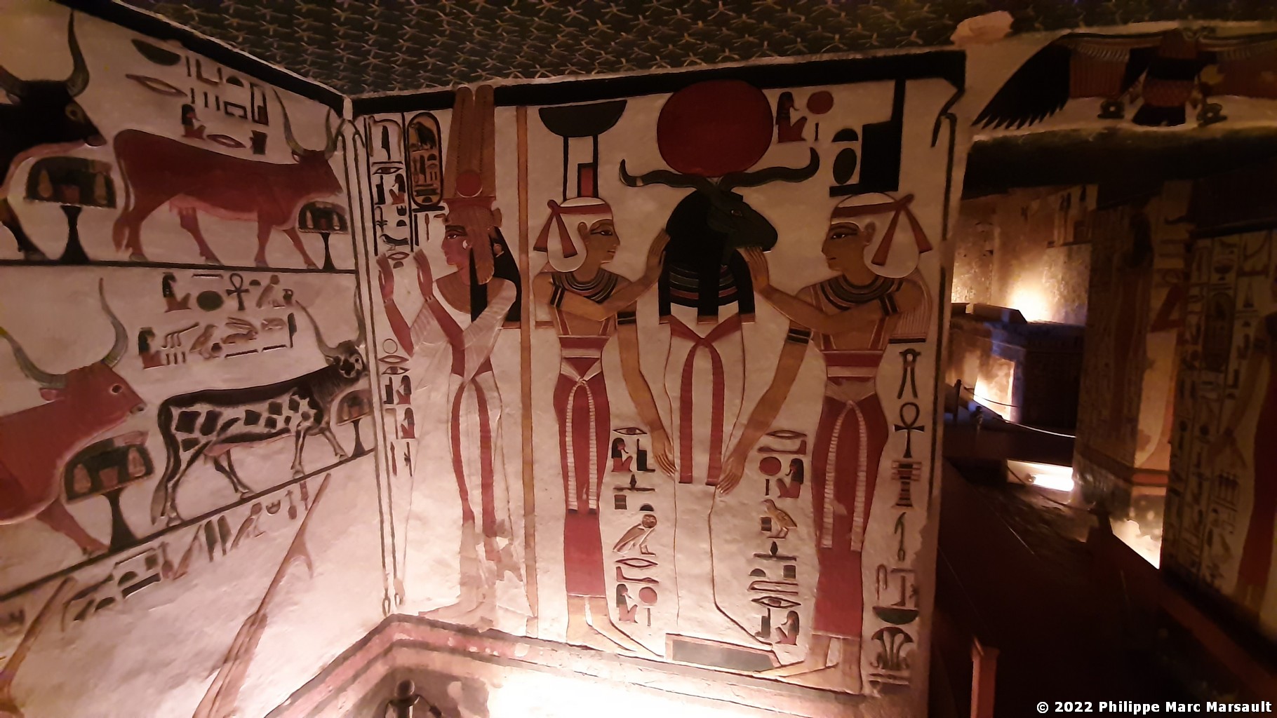 /ecran/Egypte-2021_1054.jpg