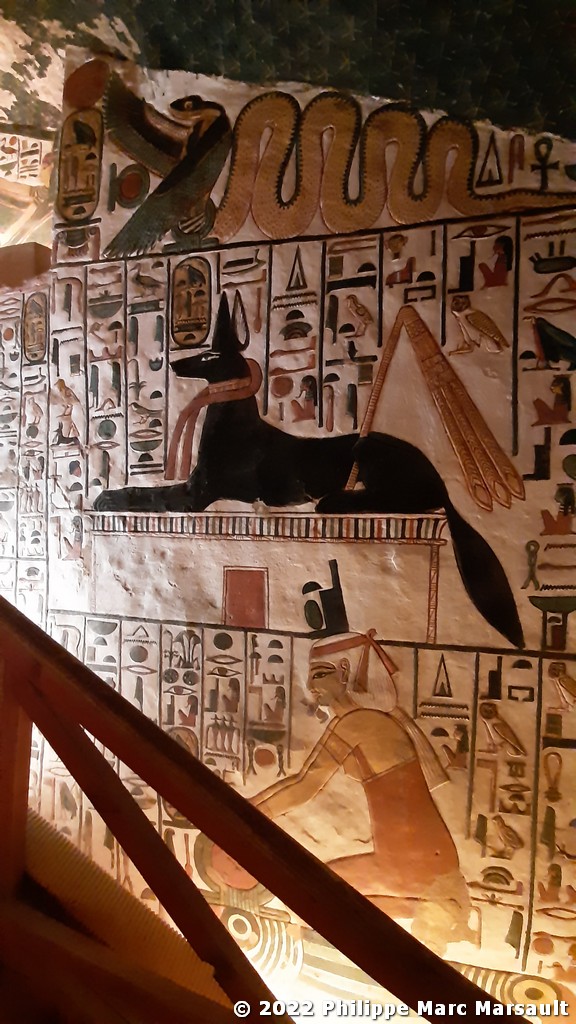 /ecran/Egypte-2021_1089.jpg