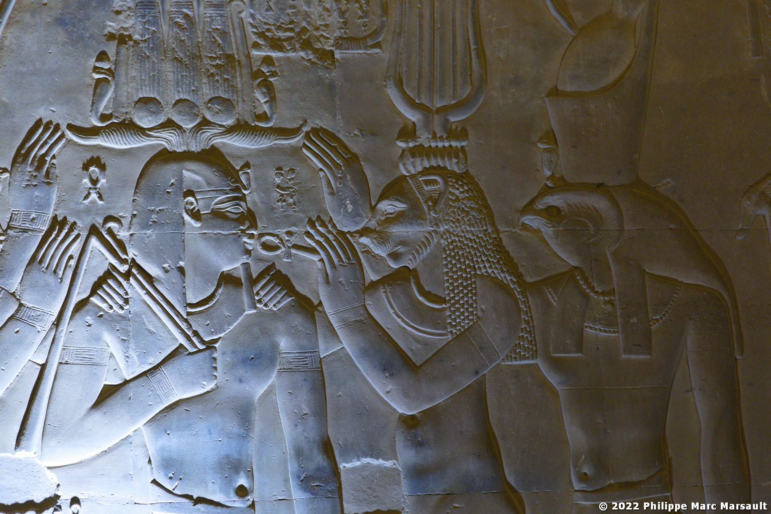 /ecran/Egypte-2021_1558.jpg