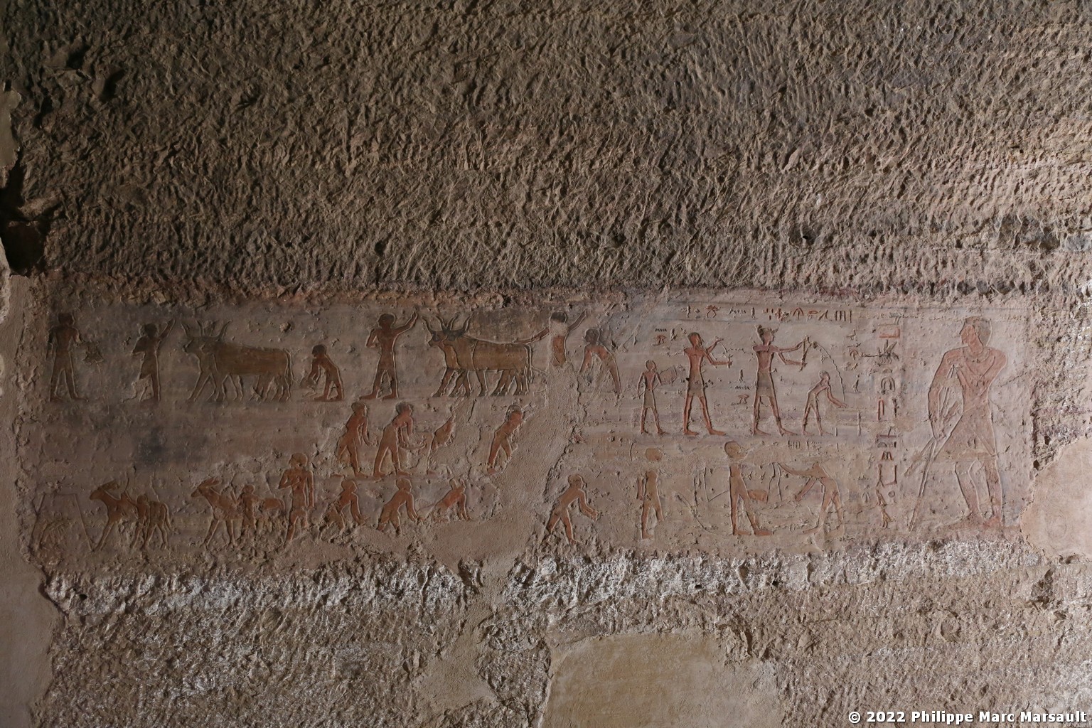 /ecran/Egypte-2021_1617.jpg