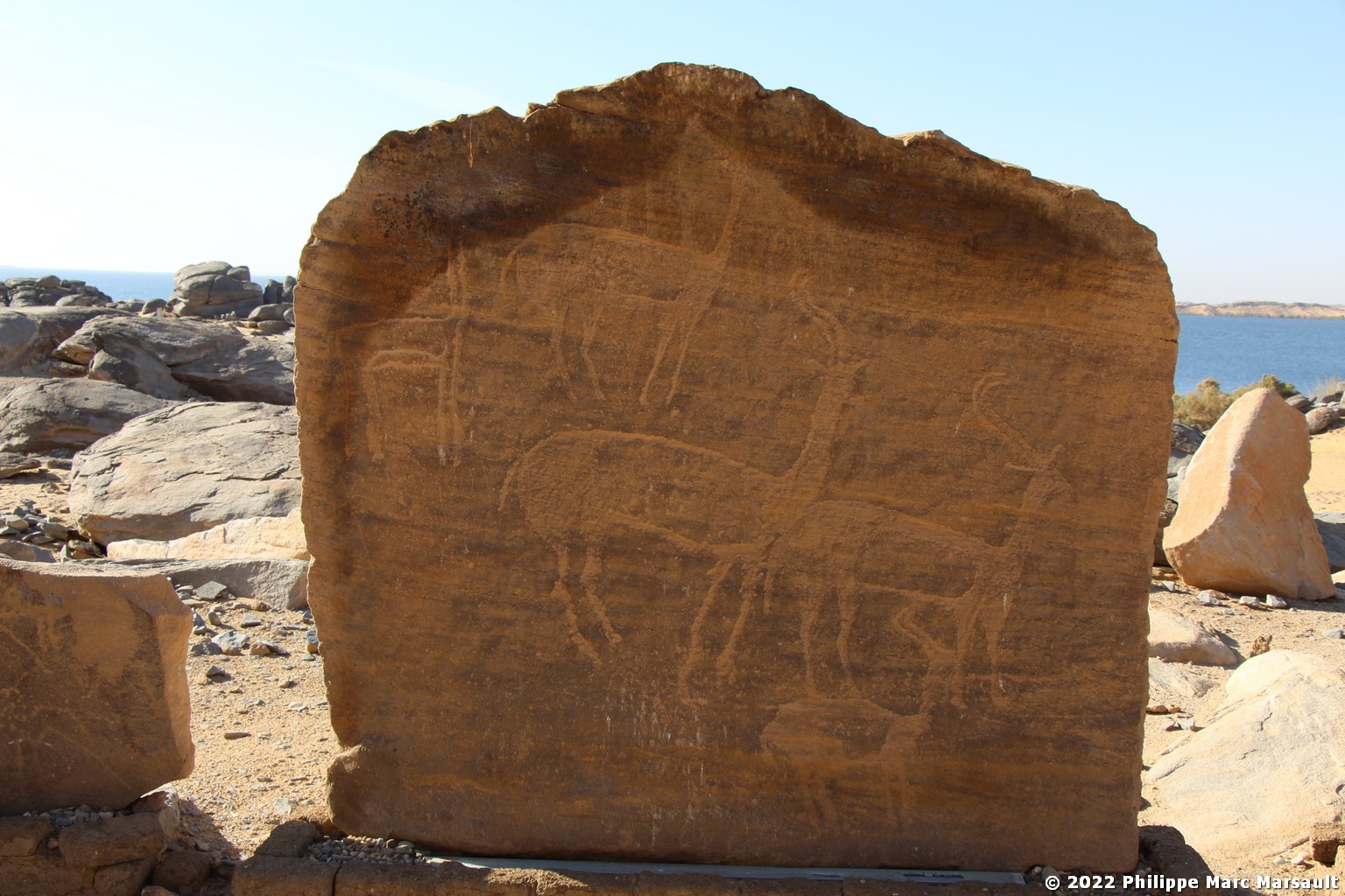 /ecran/Egypte-2021_2503.jpg