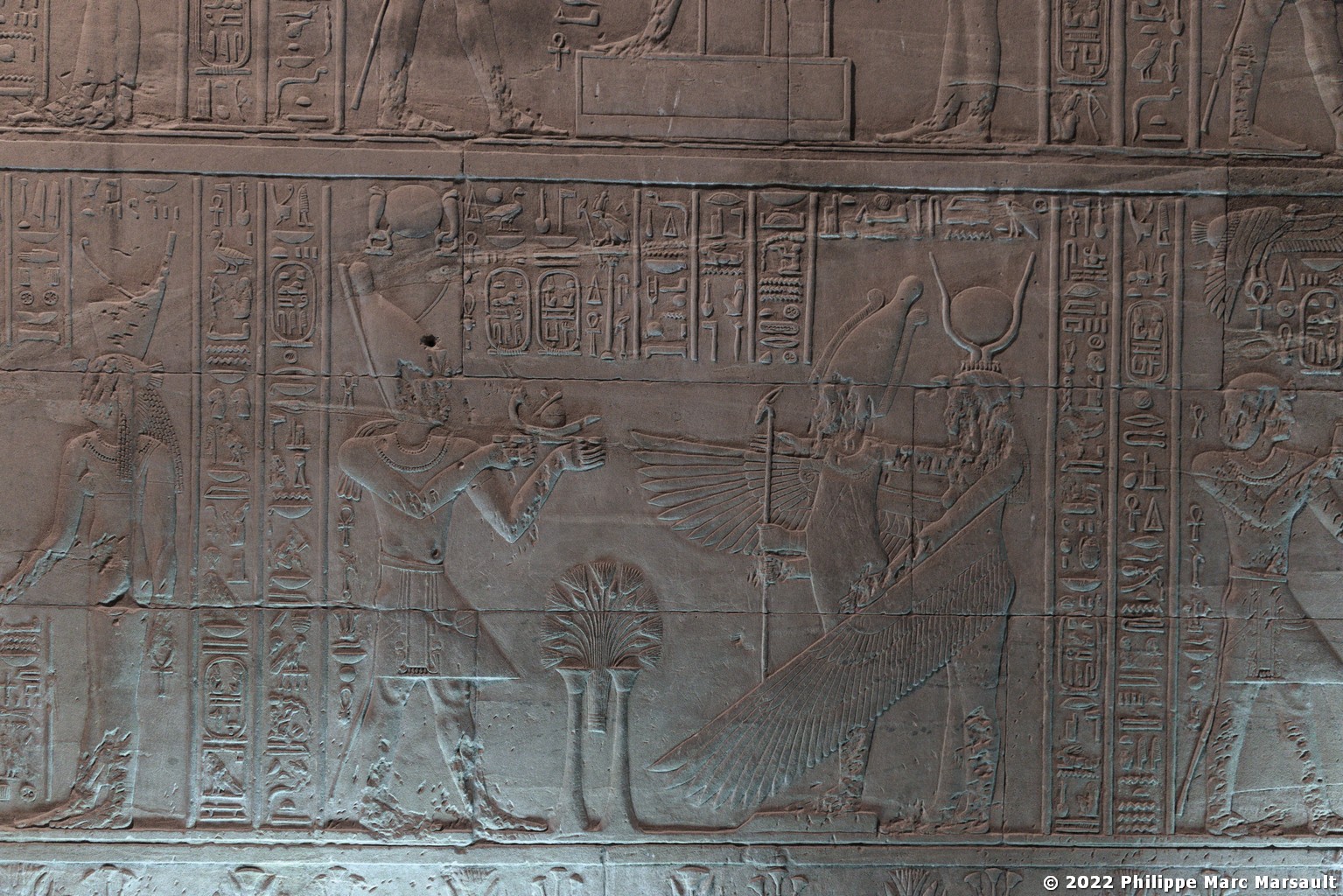 /ecran/Egypte-2021_2613.jpg