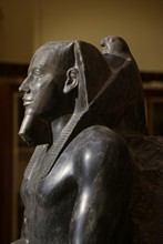 vignette Egypte-2021_0024.jpg