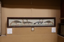 vignette Egypte-2021_0039.jpg