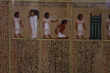 vignette Egypte-2021_0172.jpg