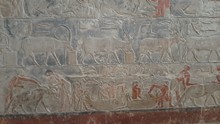 vignette Egypte-2021_0426.jpg