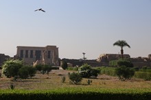 vignette Egypte-2021_0769.jpg