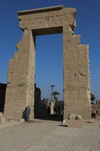 vignette Egypte-2021_0774.jpg
