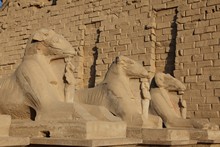 vignette Egypte-2021_0863.jpg