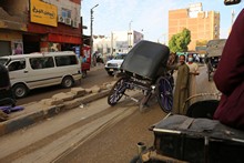 vignette Egypte-2021_1350.jpg