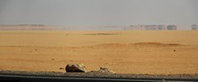 vignette Egypte-2021_1901.jpg