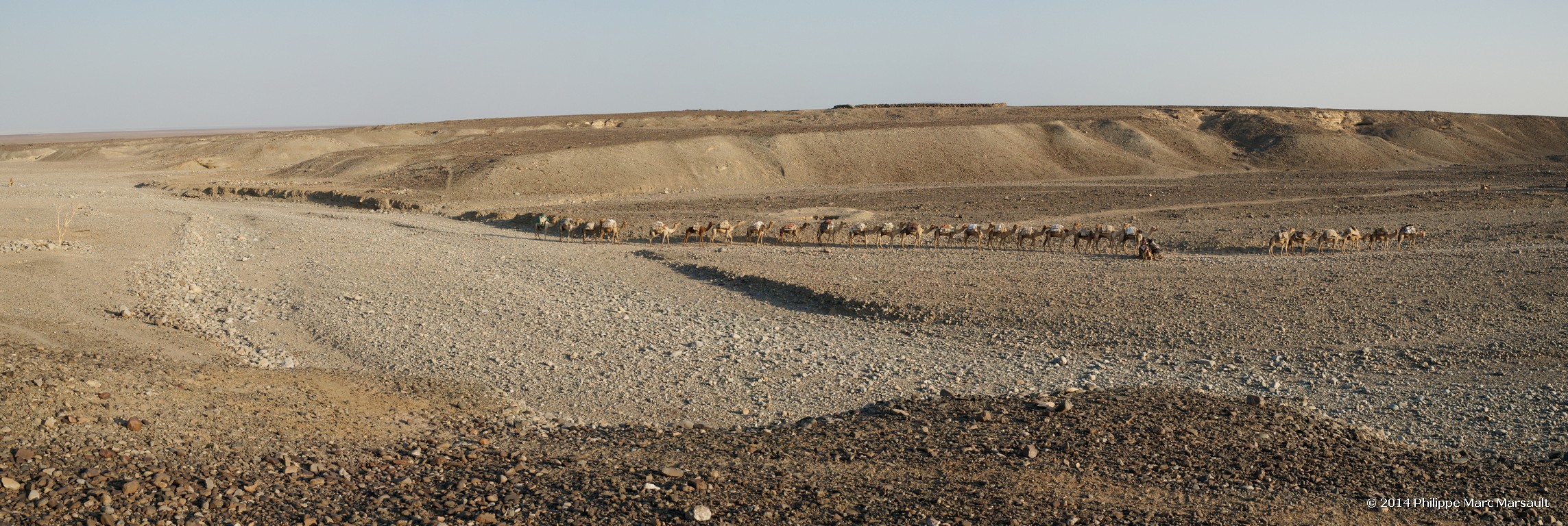 /ecran/Ethiopie_2014_0800.jpg