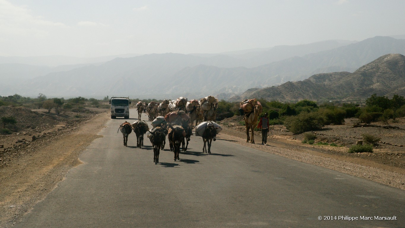 /ecran/Ethiopie_2014_1215.jpg