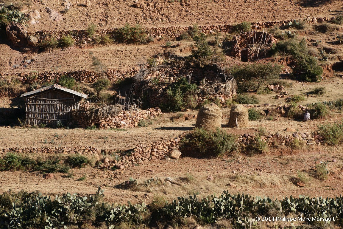 /ecran/Ethiopie_2014_1255.jpg