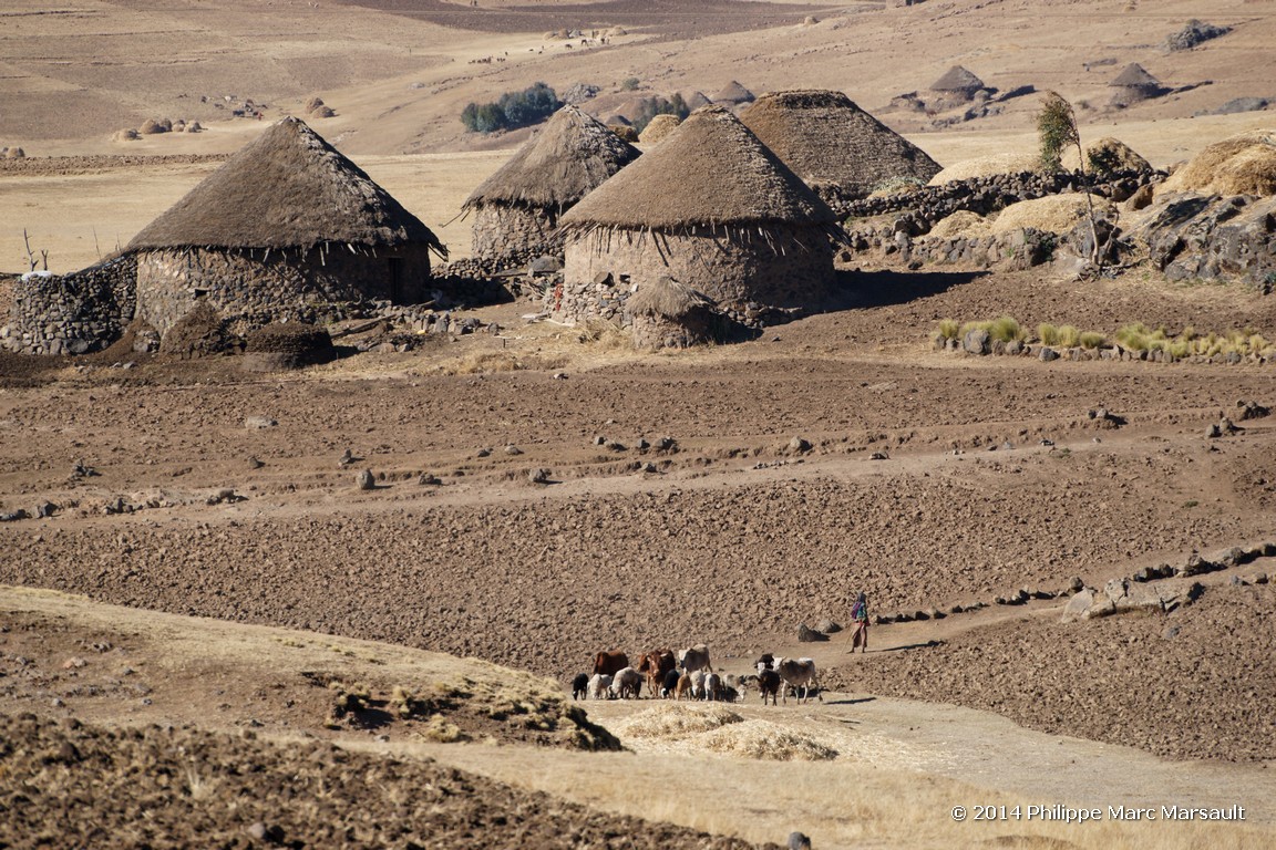 /ecran/Ethiopie_2014_1351.jpg
