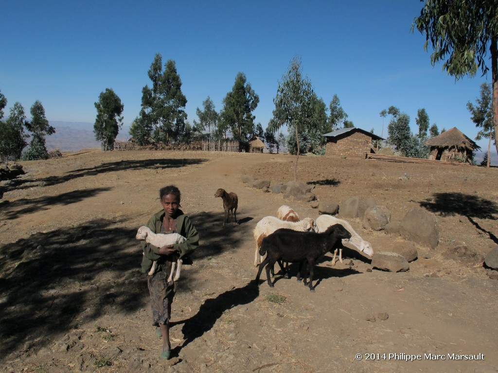 /ecran/Ethiopie_2014_1569.jpg