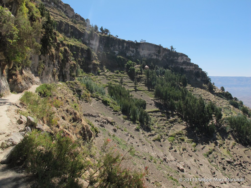 /ecran/Ethiopie_2014_1653.jpg