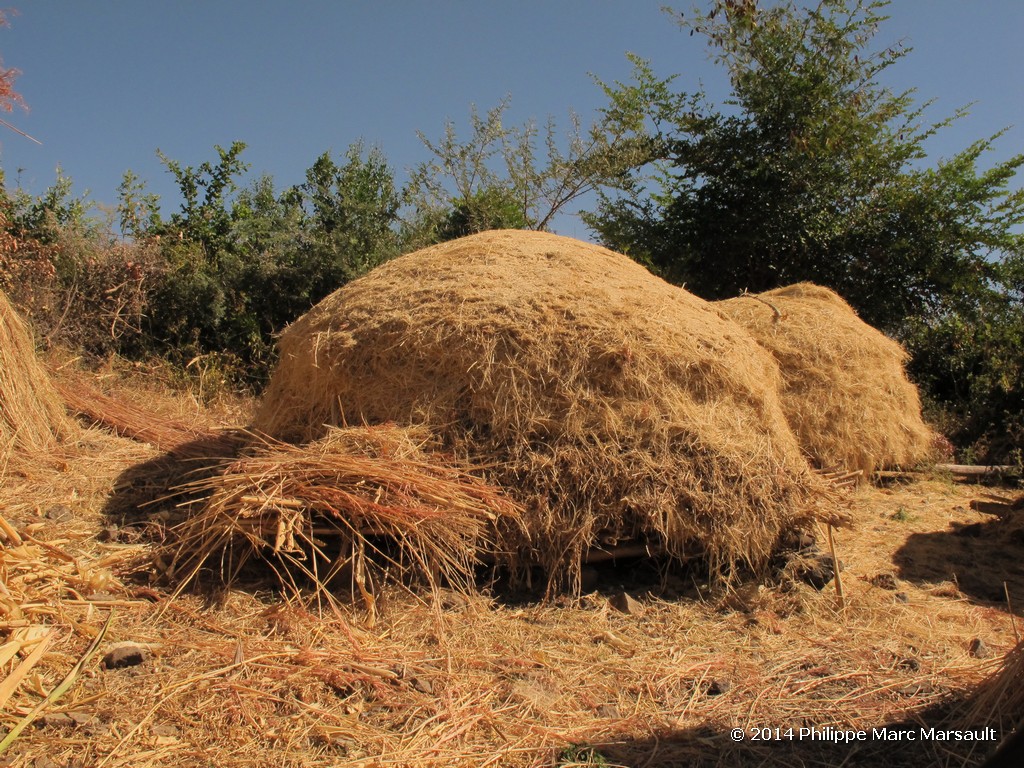 /ecran/Ethiopie_2014_1722.jpg