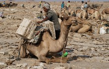 vignette Ethiopie_2014_1104.jpg 