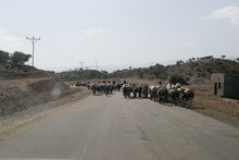 vignette Ethiopie_2014_1214.jpg 