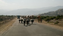 vignette Ethiopie_2014_1215.jpg 