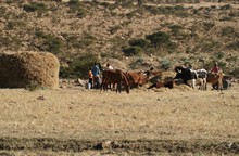 vignette Ethiopie_2014_1217.jpg 