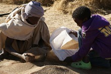 vignette Ethiopie_2014_1231.jpg 