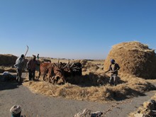 vignette Ethiopie_2014_1238.jpg 