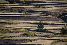 vignette Ethiopie_2014_1252.jpg 