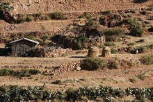 vignette Ethiopie_2014_1255.jpg 
