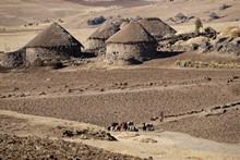 vignette Ethiopie_2014_1351.jpg 