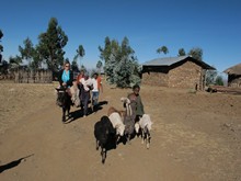 vignette Ethiopie_2014_1568.jpg 