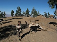 vignette Ethiopie_2014_1569.jpg 