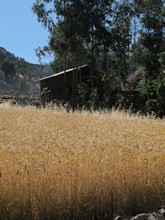 vignette Ethiopie_2014_1571.jpg 