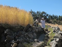 vignette Ethiopie_2014_1582.jpg 