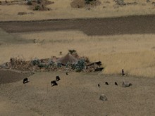 vignette Ethiopie_2014_1587.jpg 