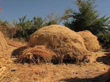 vignette Ethiopie_2014_1722.jpg 