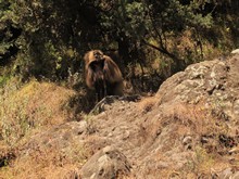 vignette Ethiopie_2014_1723.jpg 