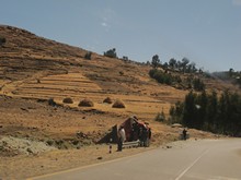 vignette Ethiopie_2014_1741.jpg 