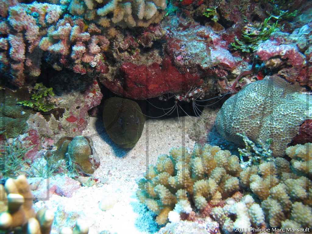 /ecran/Polynesie_2011_0004.jpg