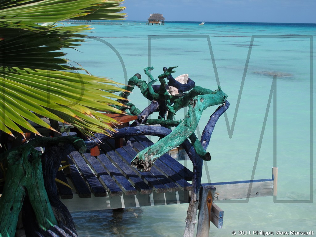 /ecran/Polynesie_2011_0109.jpg