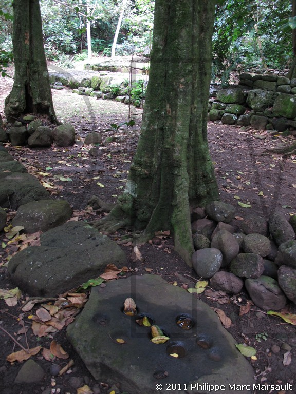 /ecran/Polynesie_2011_0174.jpg