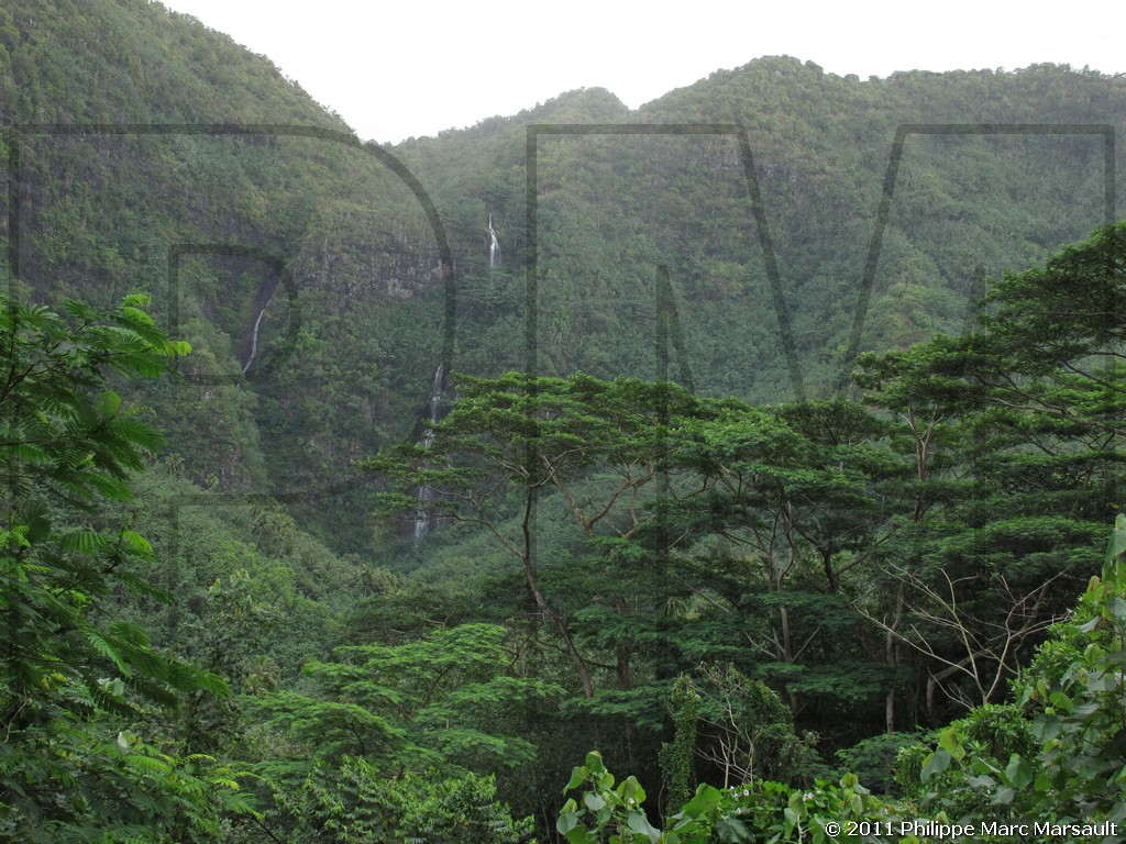 /ecran/Polynesie_2011_0179.jpg