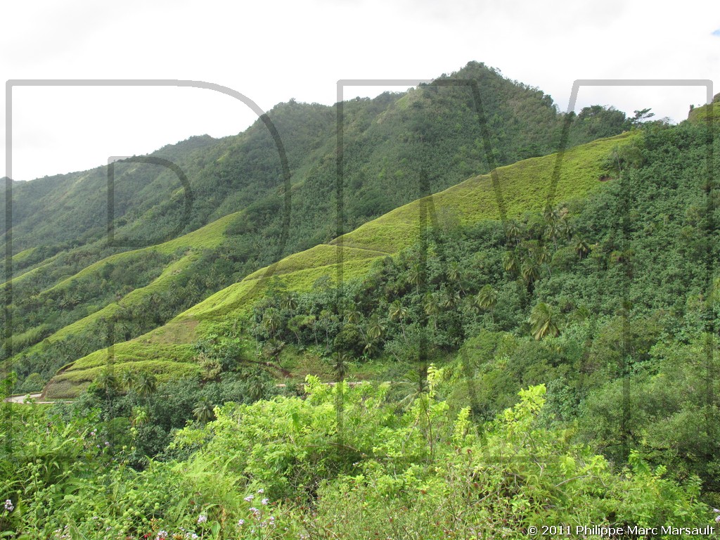 /ecran/Polynesie_2011_0180.jpg