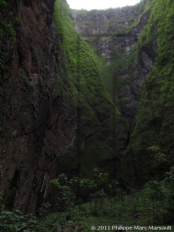 /ecran/Polynesie_2011_0207.jpg