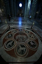 vignette Florence_0176.jpg 