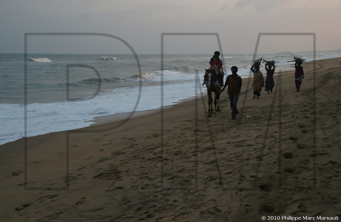 /ecran/Inde_Sud_0244.jpg