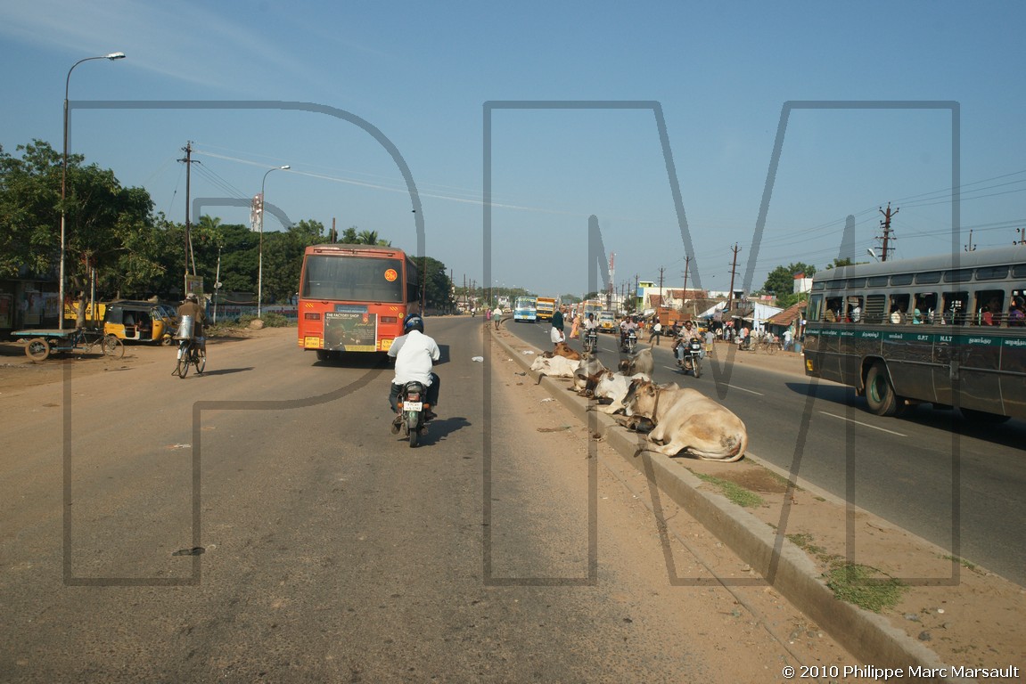 /ecran/Inde_Sud_0601.jpg